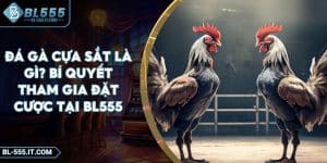 Đá Gà Cựa Sắt Là Gì? Bí Quyết Tham Gia Đặt Cược Tại BL555